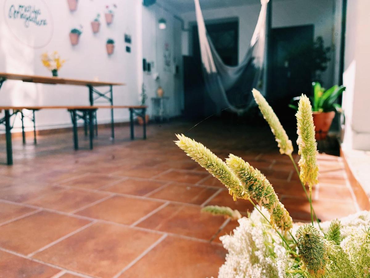 Maria Magdalena - Room 8 Malaga Exterior photo