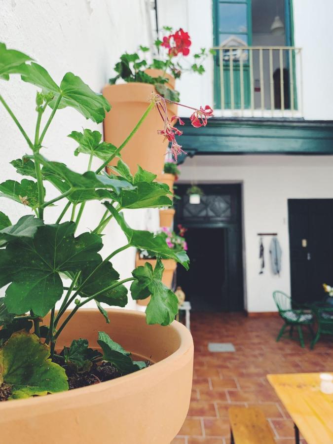 Maria Magdalena - Room 8 Malaga Exterior photo